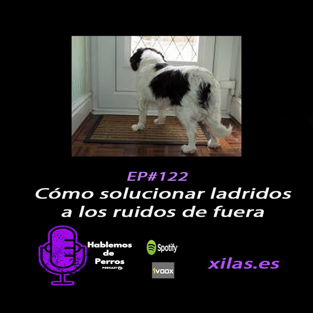 educadora canina podcast