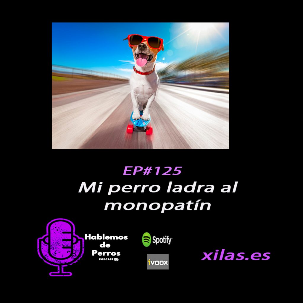 educadora canina podcast