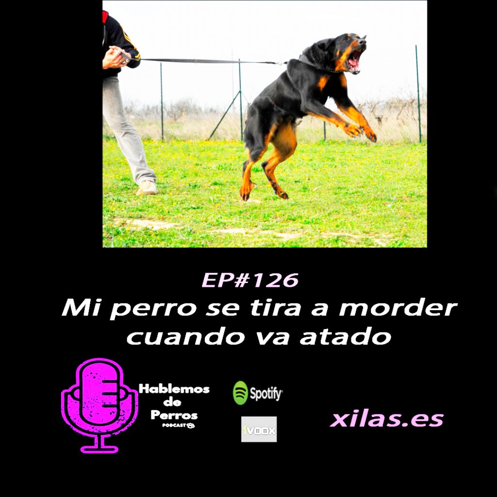 educadora canina podcast