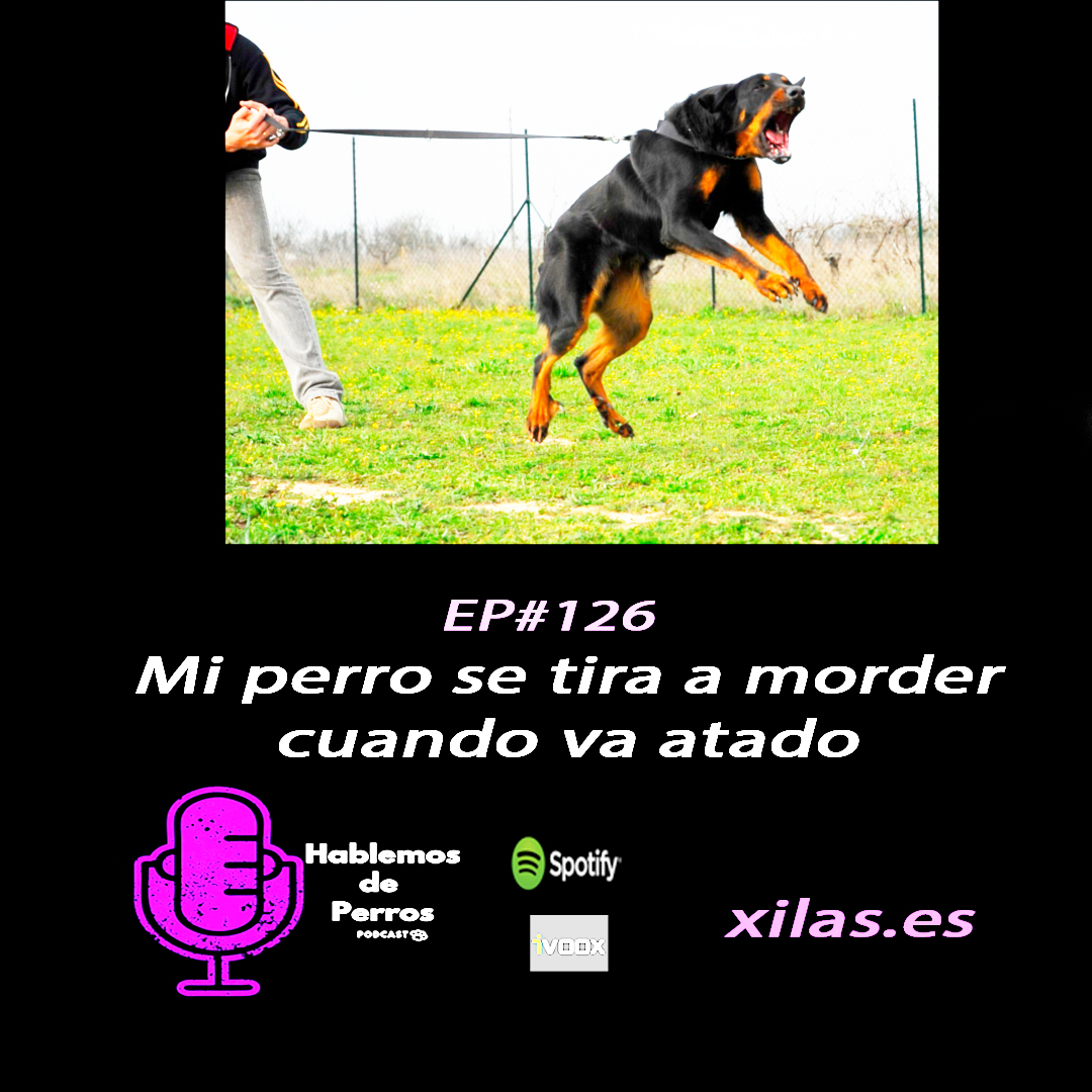educadora canina podcast