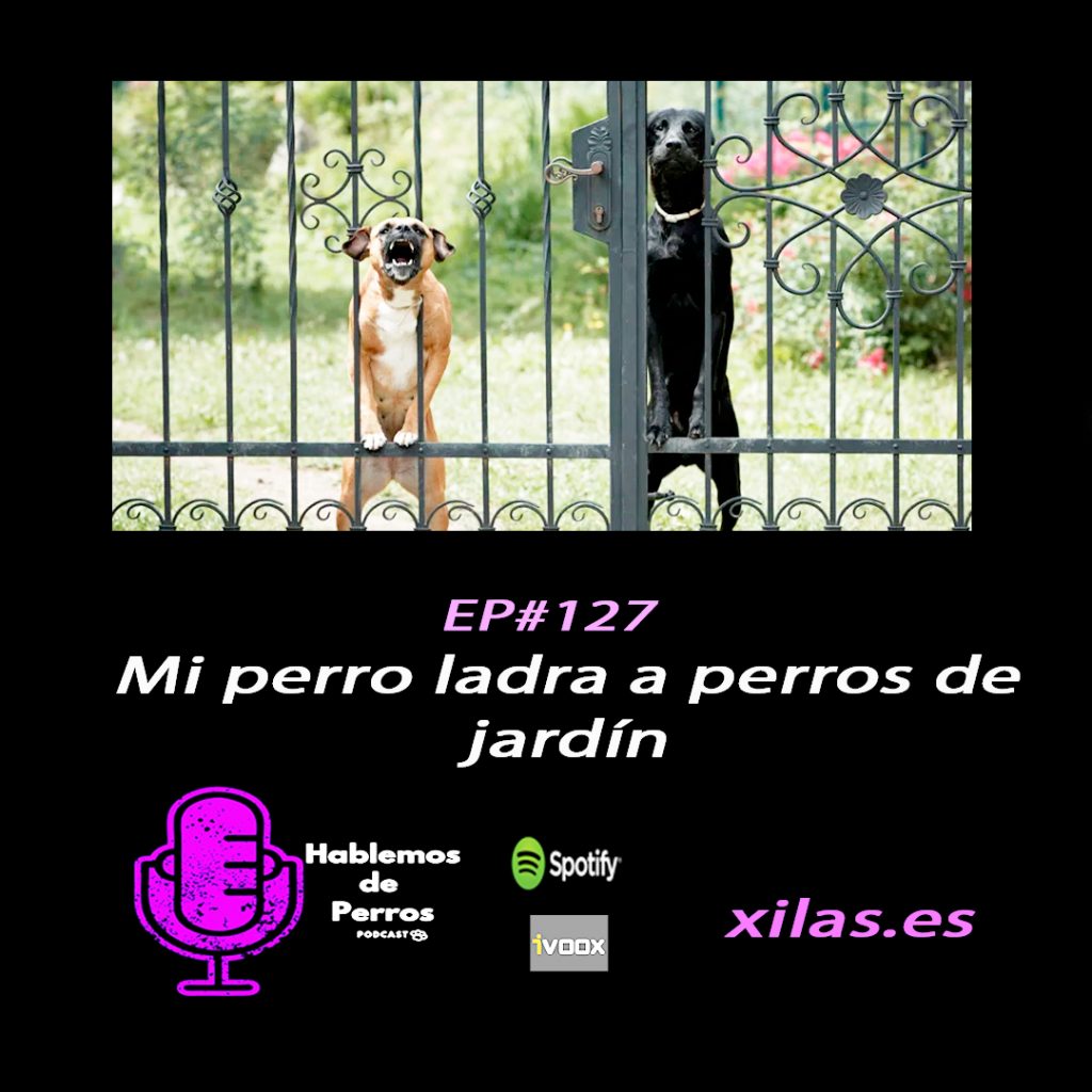 educadora canina podcast