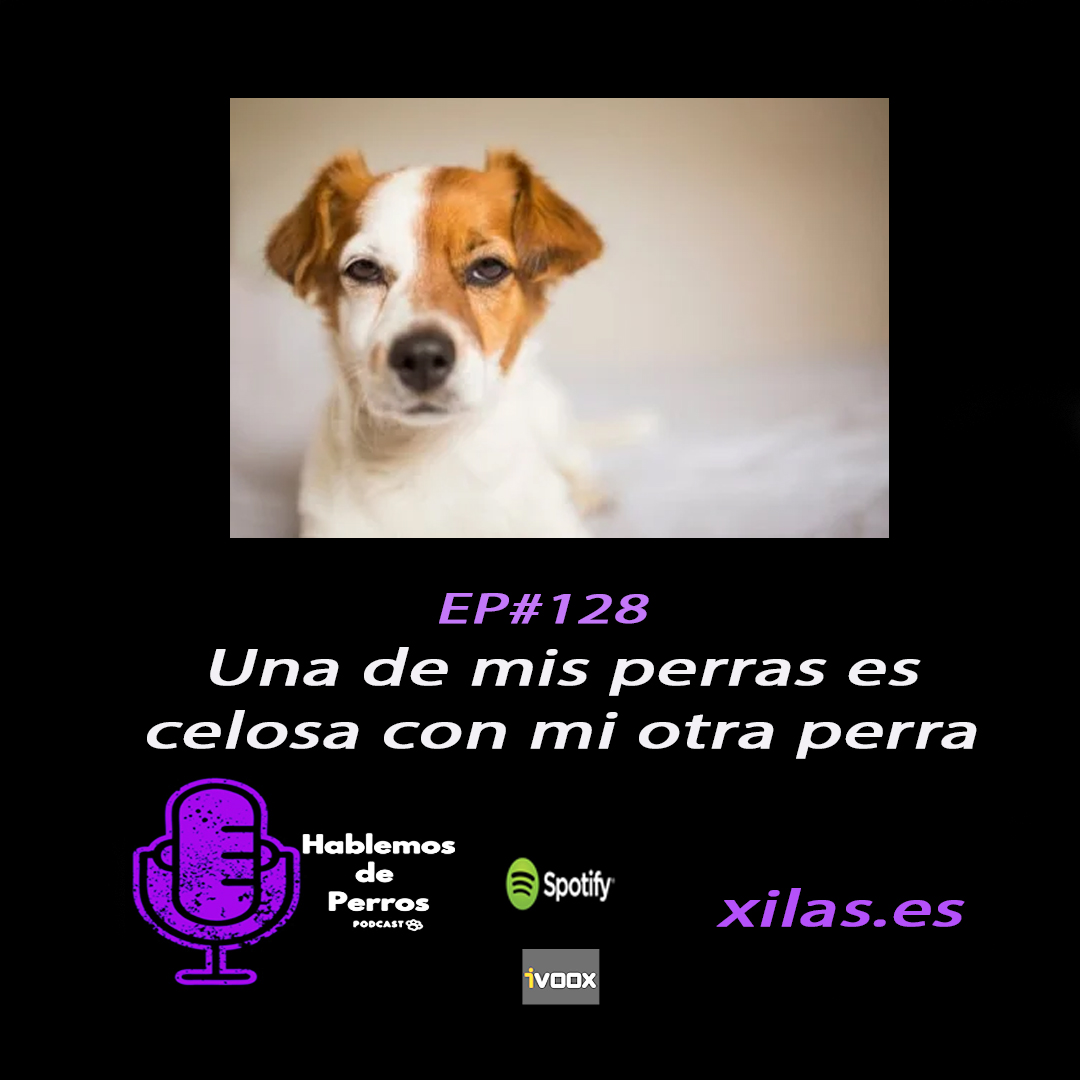 educadora canina podcast