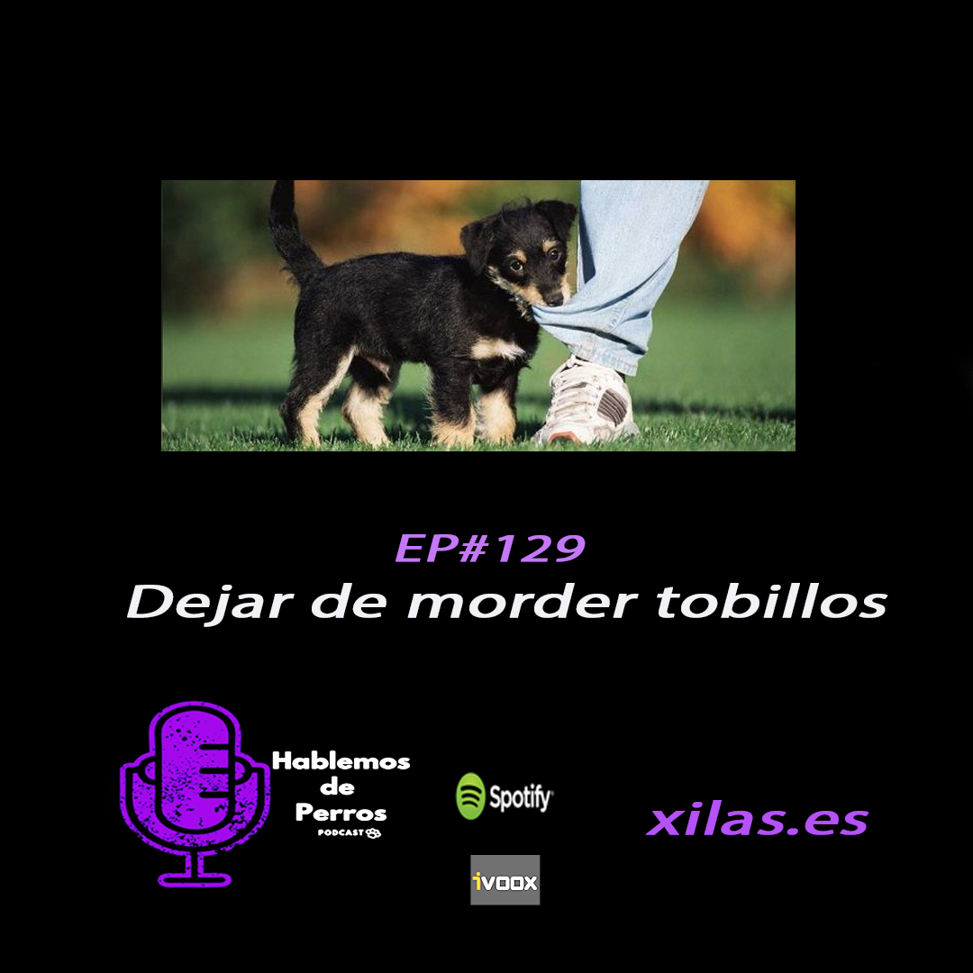 educadora canina podcast