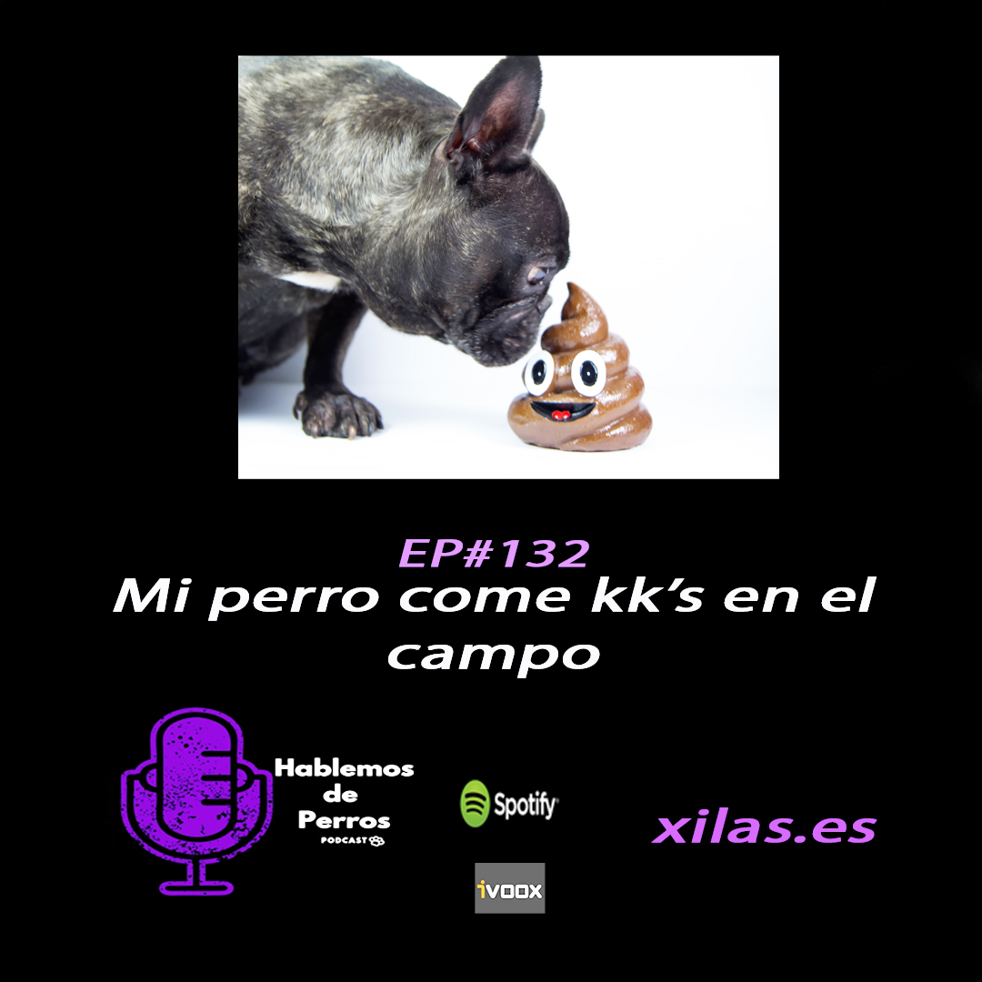 educadora canina podcast