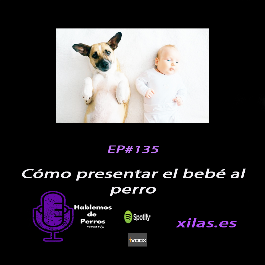 educadora canina podcast