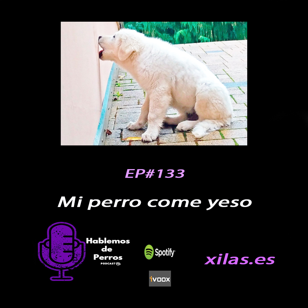 educadora canina podcast