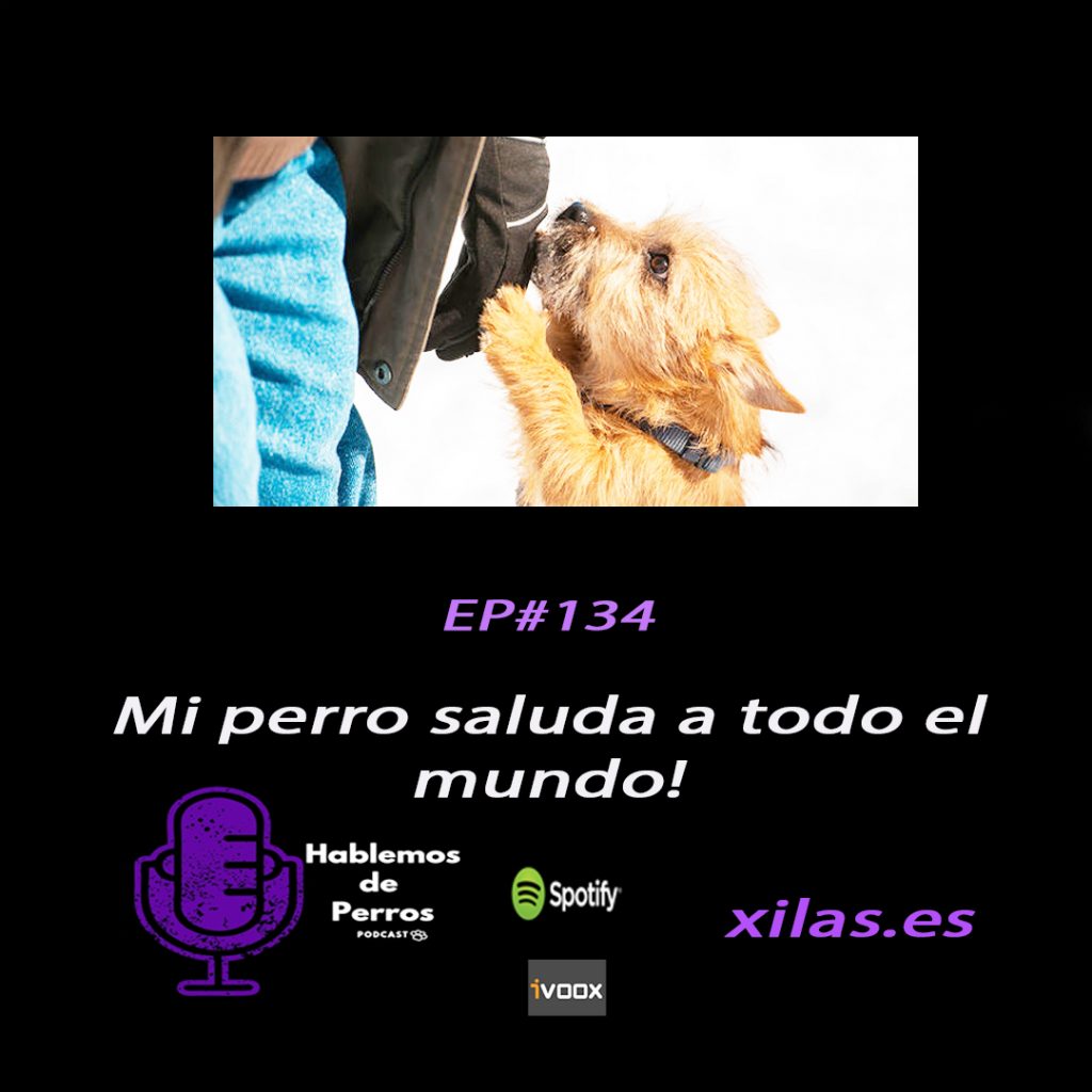 educadora canina podcast