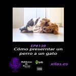 Hablemos de perros