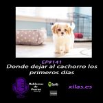 Hablemos de perros