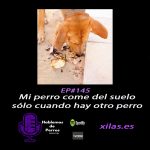 Hablemos de perros