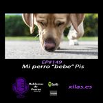 Hablemos de perros