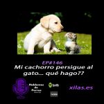 Hablemos de perros Hablemos de perros