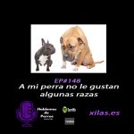 Hablemos de perros