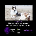 Hablemos de perros
