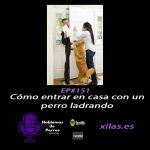 Hablemos de perros Hablemos de perros