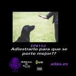 Hablemos de perros Hablemos de perros