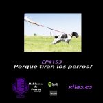 Hablemos de perros