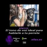 Hablemos de perros
