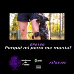 Hablemos de perros Hablemos de perros