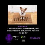 Hablemos de perros Hablemos de perros