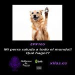 Hablemos de perros