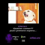 Hablemos de perros Hablemos de perros