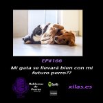 Hablemos de perros