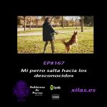 Hablemos de perros Hablemos de perros