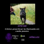 Hablemos de perros Hablemos de perros