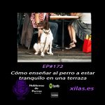 Hablemos de perros