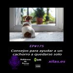 Hablemos de perros Hablemos de perros