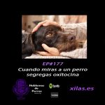 Hablemos de perros Hablemos de perros