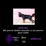 Hablemos de perros Hablemos de perros