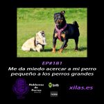 Hablemos de perros