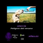 Hablemos de perros Hablemos de perros