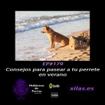 Hablemos de perros Hablemos de perros