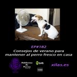Hablemos de perros Hablemos de perros