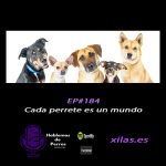 Hablemos de perros Hablemos de perros