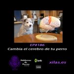 Hablemos de perros Hablemos de perros