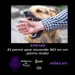 Hablemos de perros