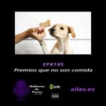Hablemos de perros