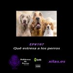 Hablemos de perros Hablemos de perros