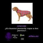 Hablemos de perros Hablemos de perros