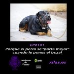 Hablemos de perros Hablemos de perros