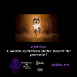 Hablemos de perros Hablemos de perros