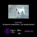 Hablemos de perros Hablemos de perros