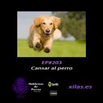 Hablemos de perros Hablemos de perros