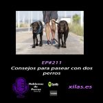 Hablemos de perros