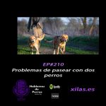 Hablemos de perros Hablemos de perros