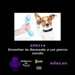 Hablemos de perros